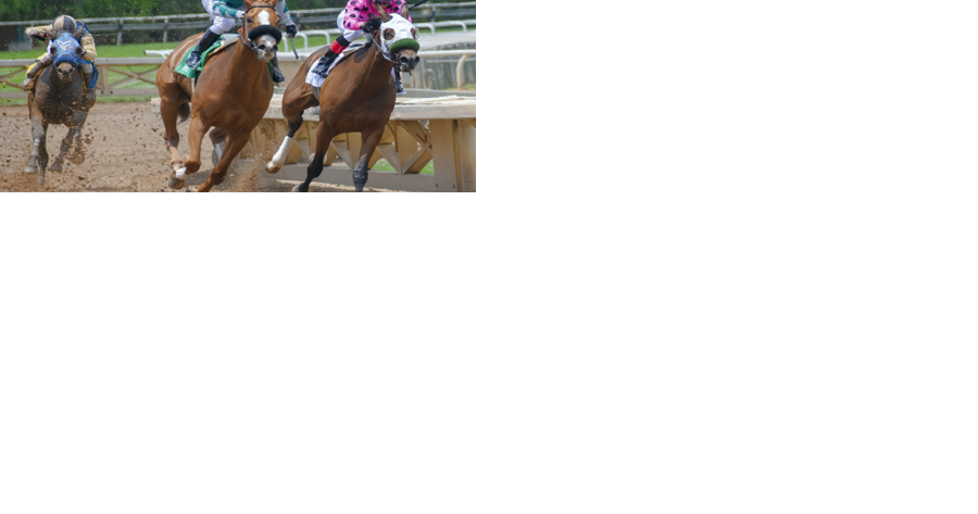What You Should Know About the Pegasus World Cup 2024 - Vimarsana News