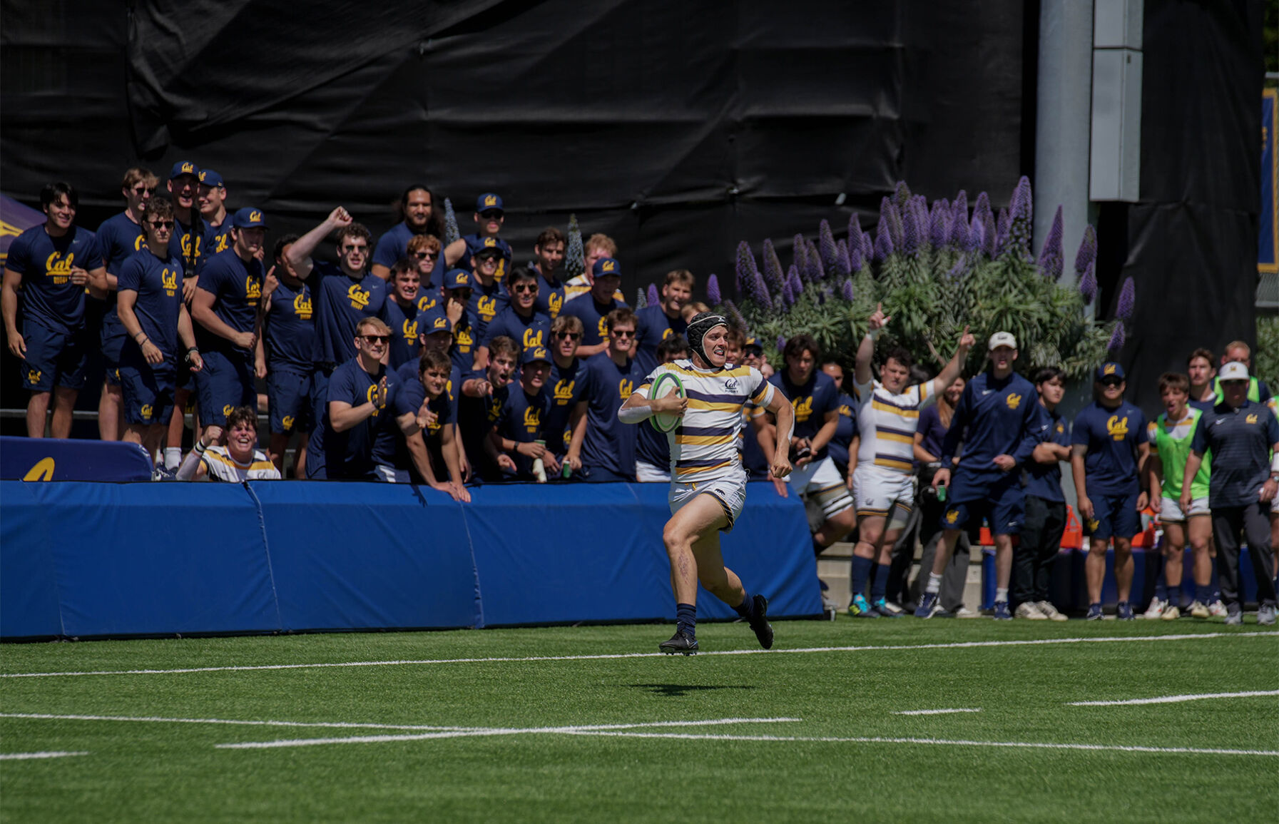 Bears claim second West Coast Sevens title of the season at Stanford ...