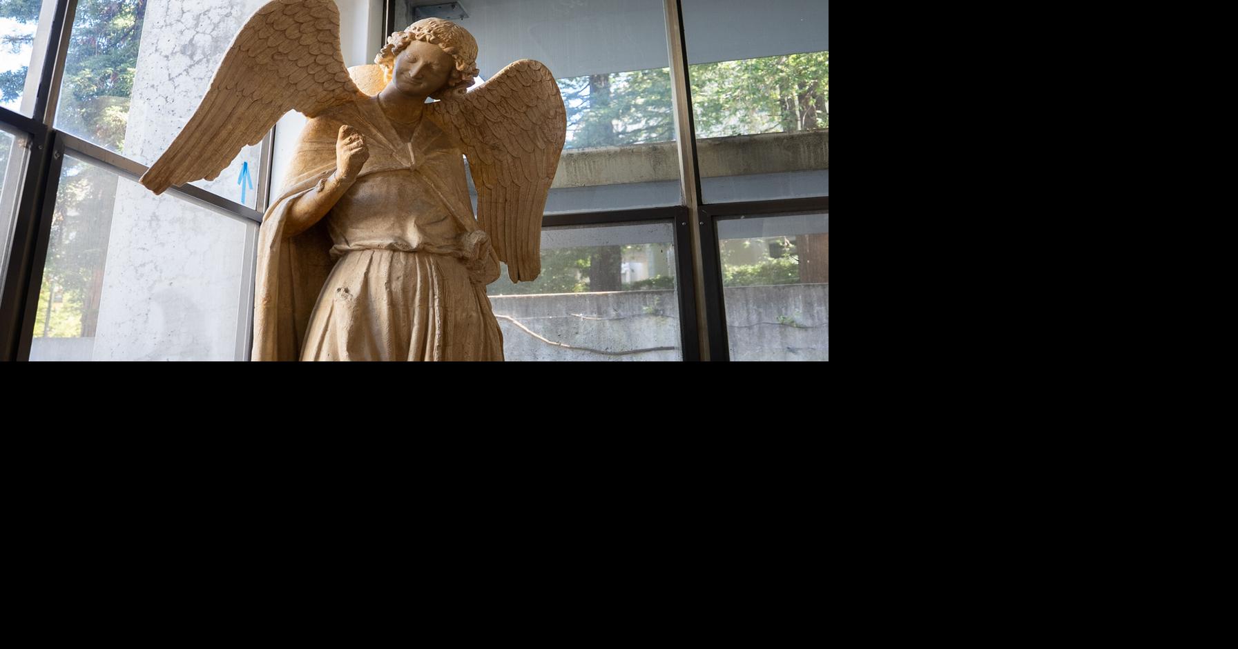Library divinity | Commentary | dailycal.org