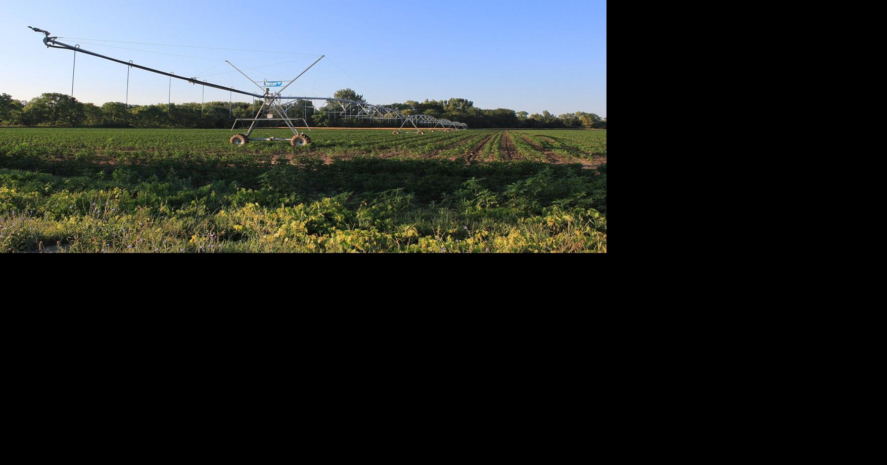 UC Berkeley researchers develop digital twin to study Pajaro River flood risk