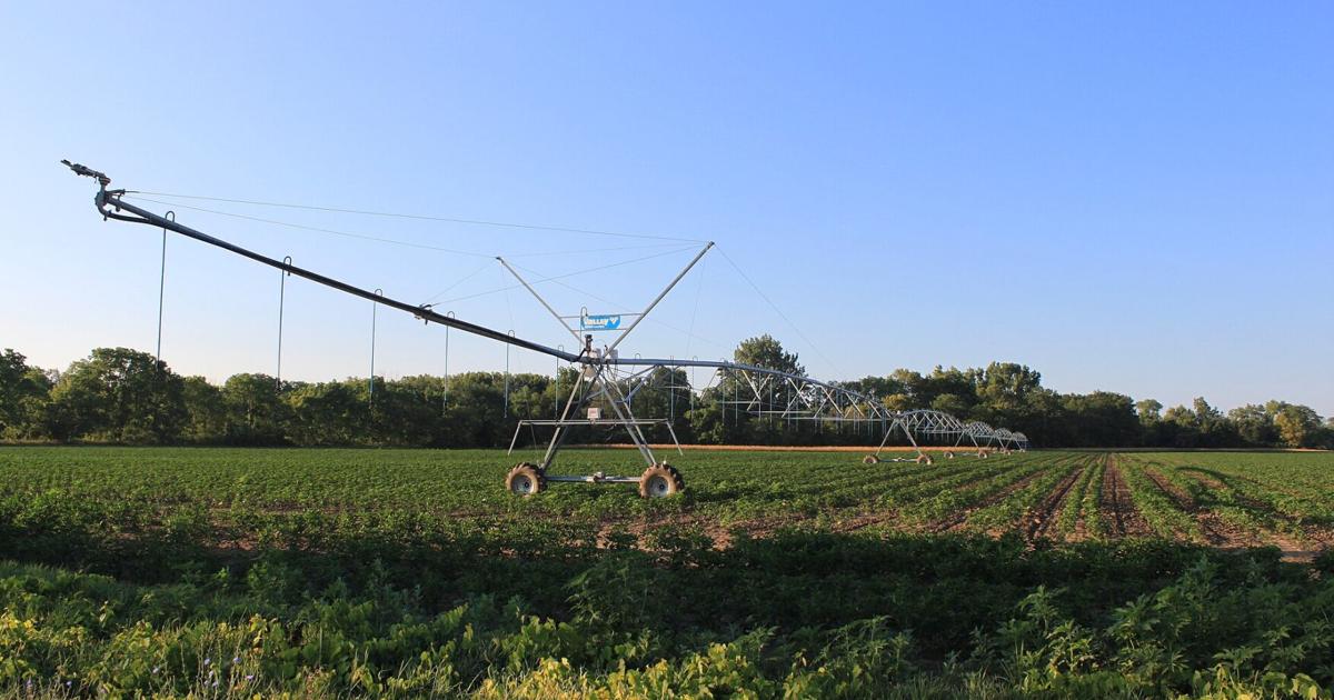 UC Berkeley researchers develop digital twin to study Pajaro River flood risk