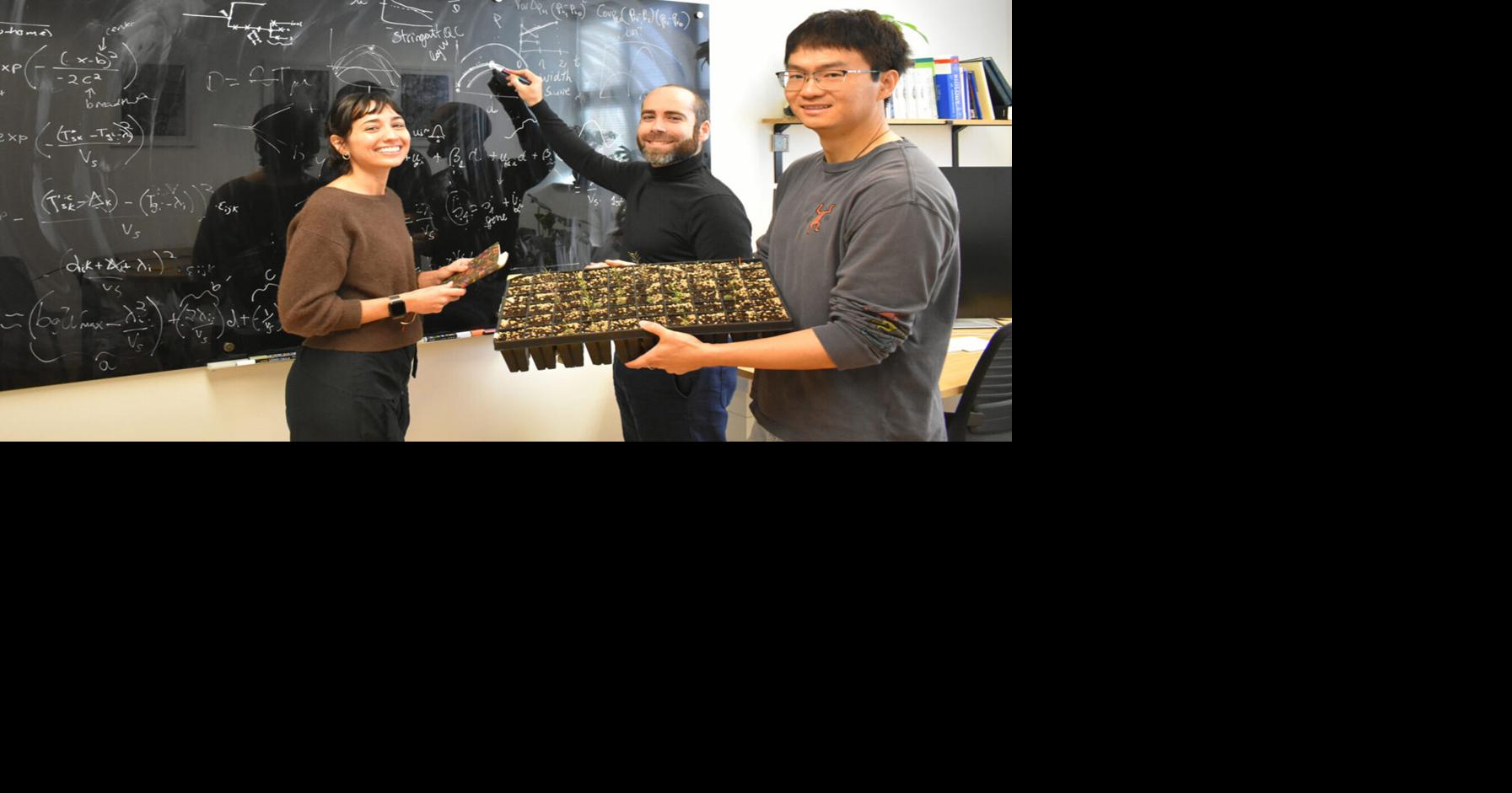 UC Berkeley researcher’s global plant experiment reveals potential adaptations to climate change