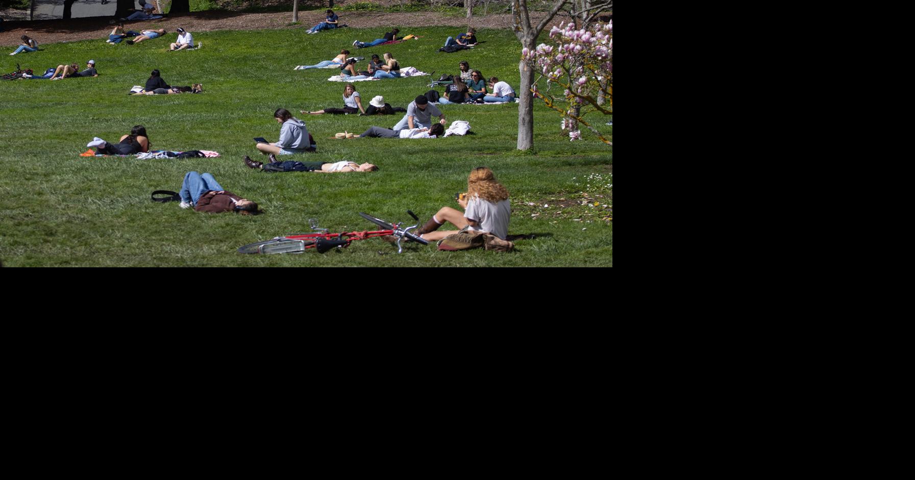 Nature activities to end the semester | Blog | dailycal.org
