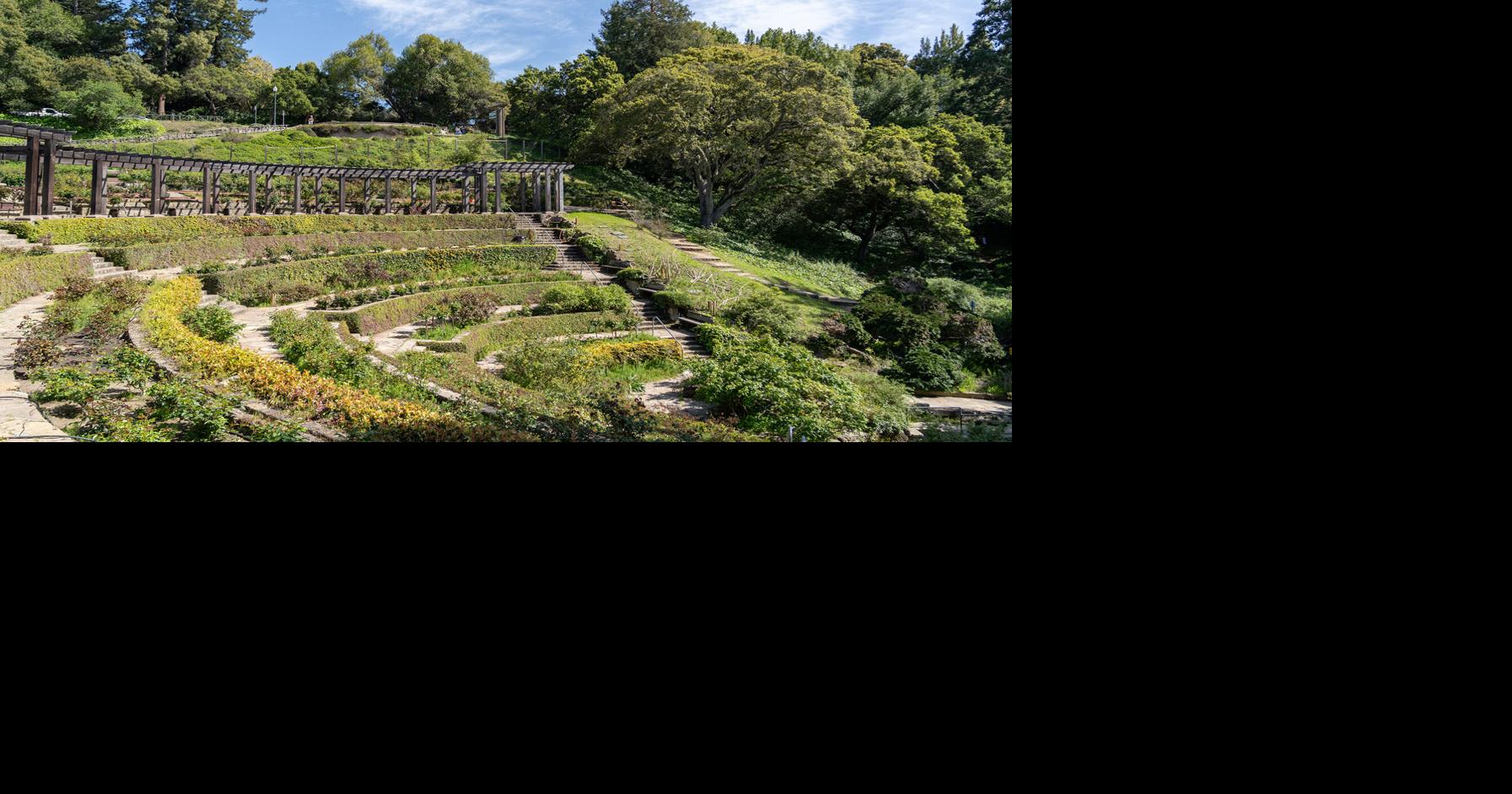 Spring spots in the Bay Area to take in nature | Blog | dailycal.org