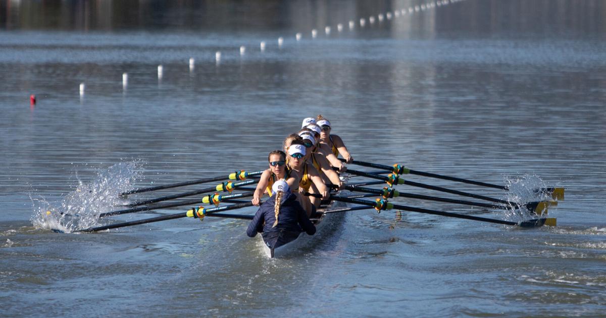 6 former Bears medal in Olympic rowing events | Paris Olympics ...