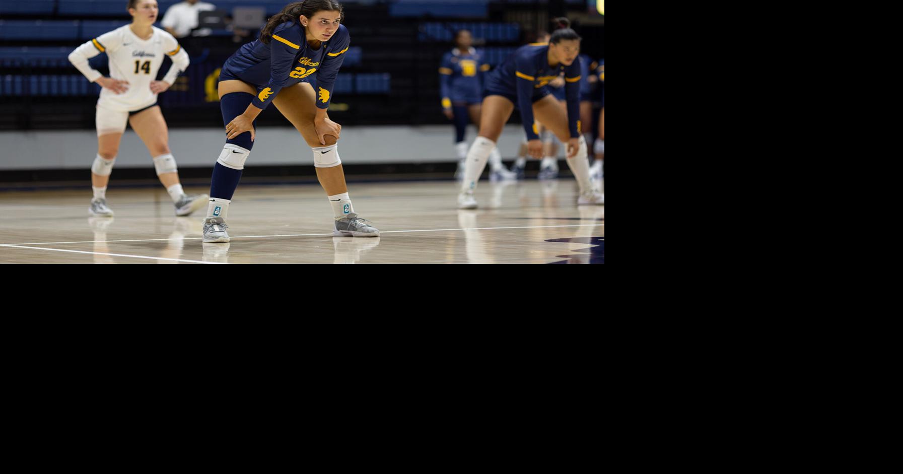 Cal shut out in sunshine state after Florida State and Miami sweeps ...