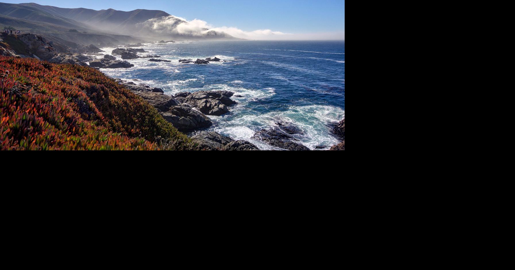A reflection on the meaning of environmental protection | Blog