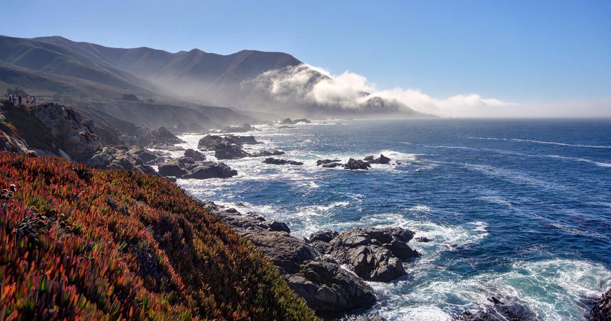 A reflection on the meaning of environmental protection | Blog A reflection on the meaning of environmental protection | Blog