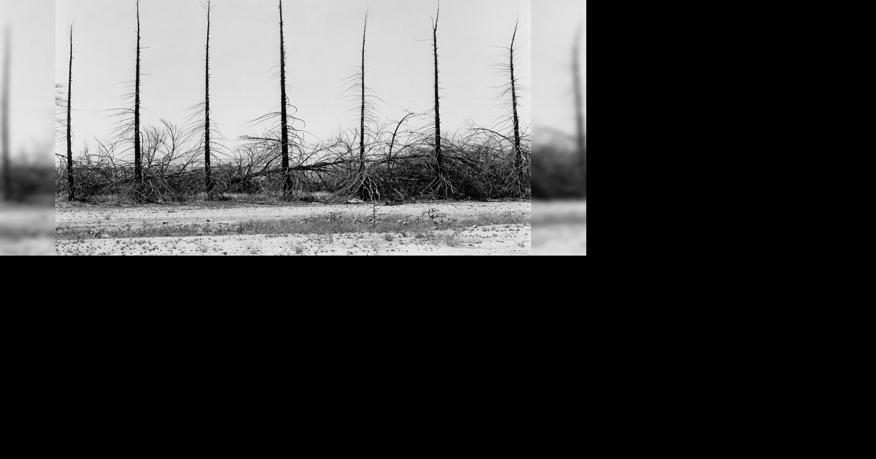 California’s Central Valley is immortalized in drought, dry grass at East Bay Photo Collective
