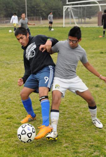 Luis Gonzalez - Men's Soccer - Ave Maria University Athletics