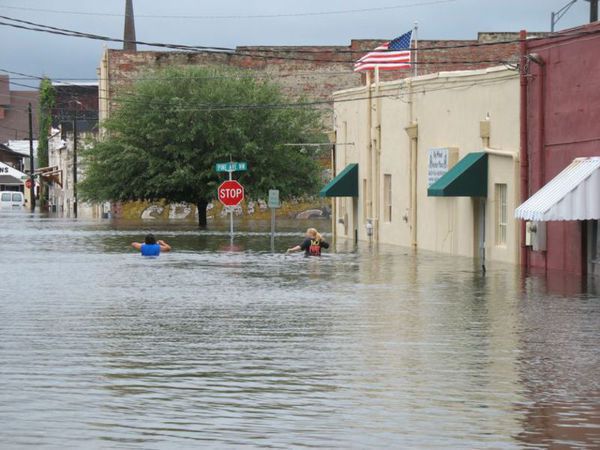 Flooding can bring the fire ants When extreme weather makes front