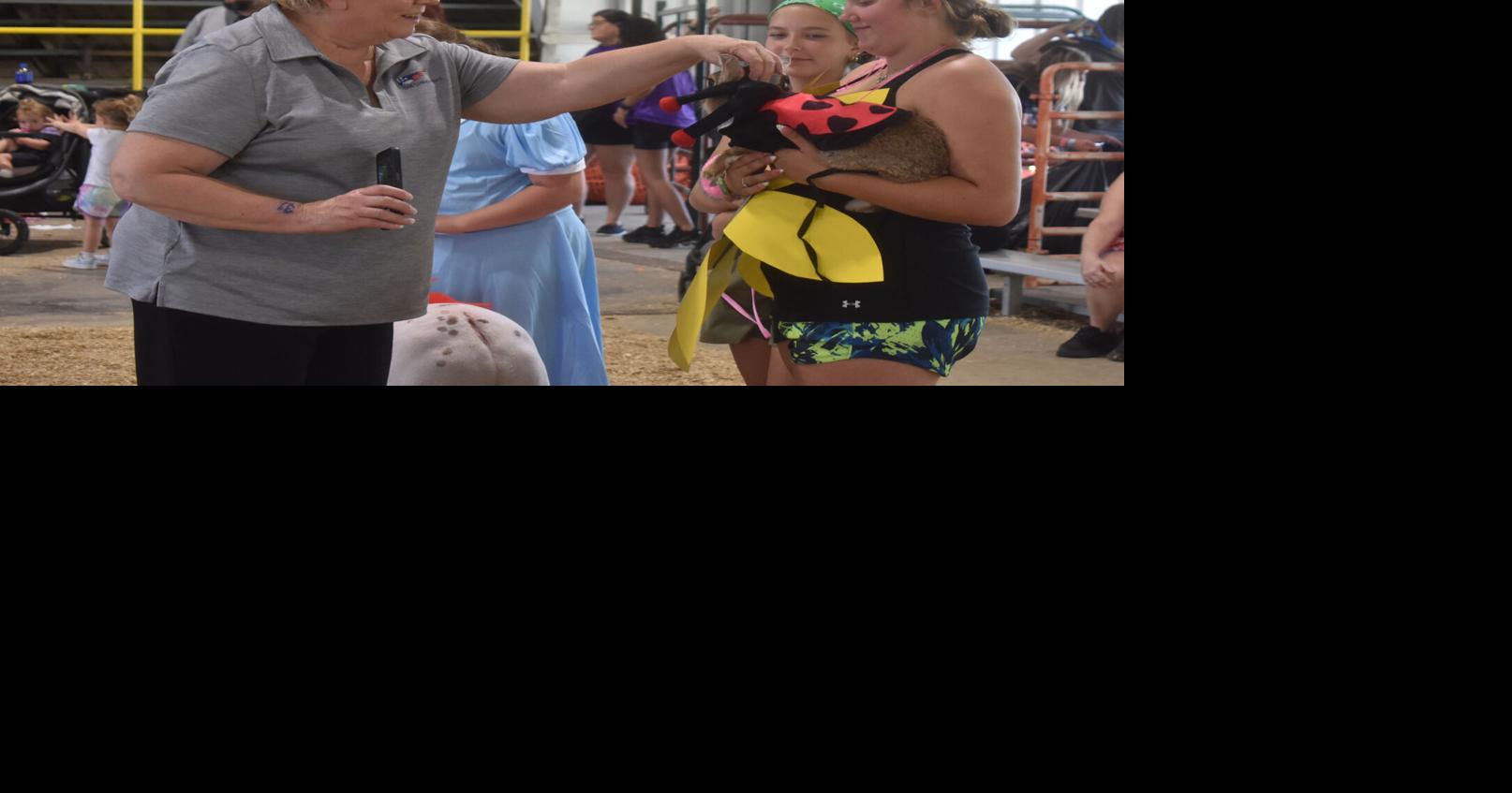 Scenes from the Fayette County Fair