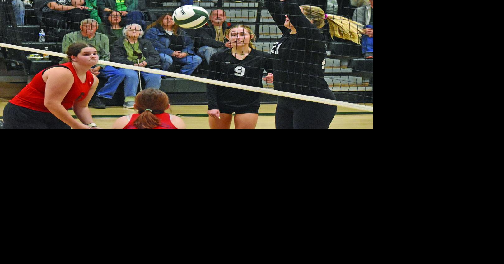 Gators top Lions in straight sets