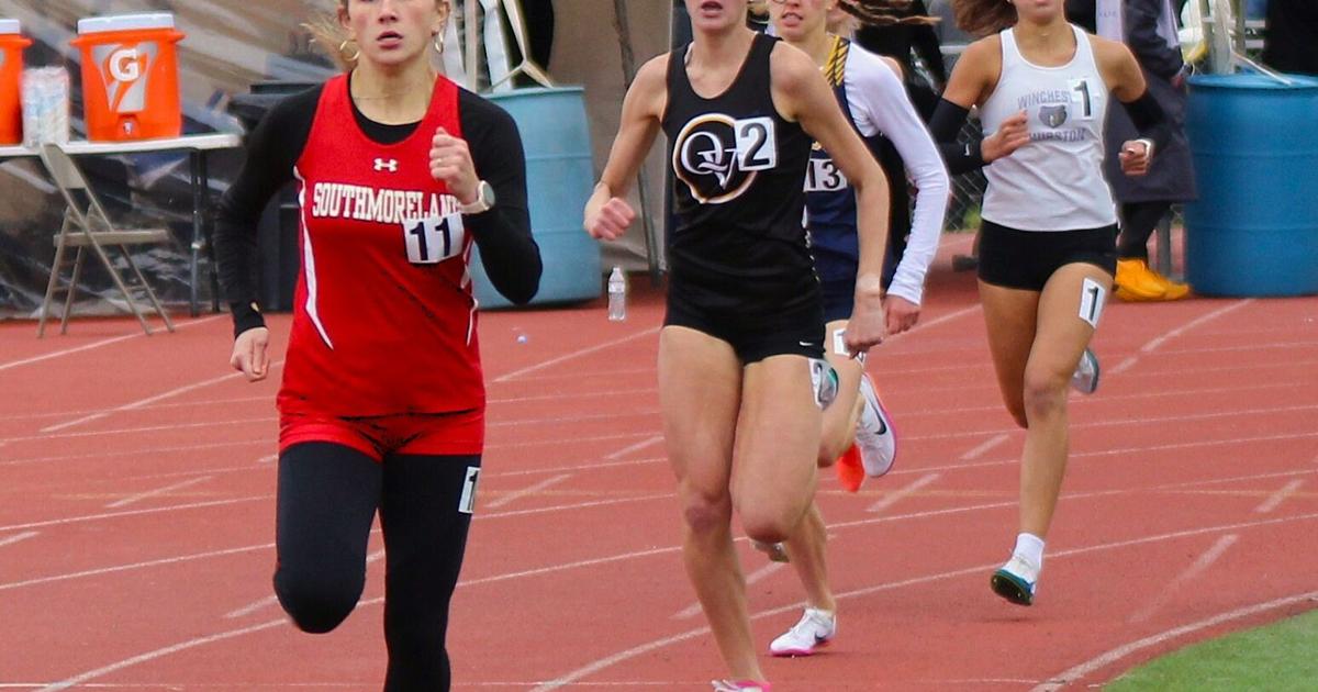 Mehall, Larkin attempt to double in PIAA track meet