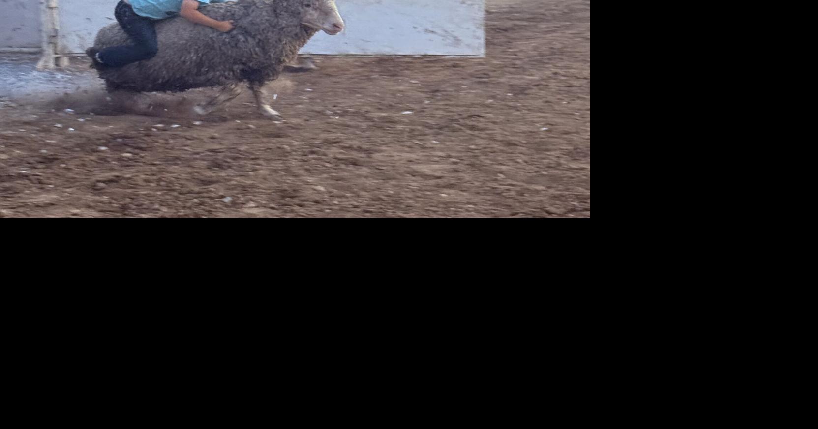 Kids’ Rodeo Night at the Bullskin Fair | Multimedia | dailycourier.com