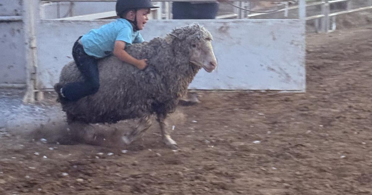 Kids’ Rodeo Night at the Bullskin Fair | Multimedia | dailycourier.com