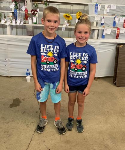 Last day at Bullskin Township Community Fair | Local News ...