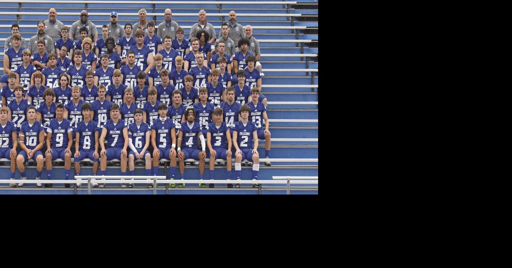 Falcons go independent, look for big season | Sports | dailycourier.com