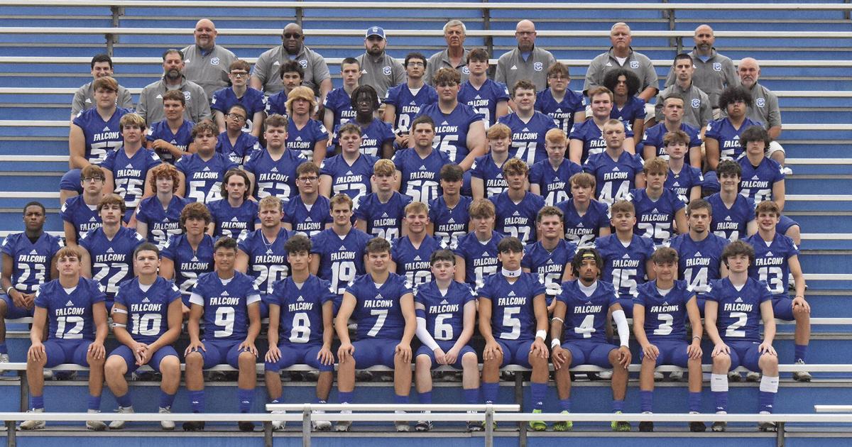 Falcons go independent, look for big season | Sports | dailycourier.com