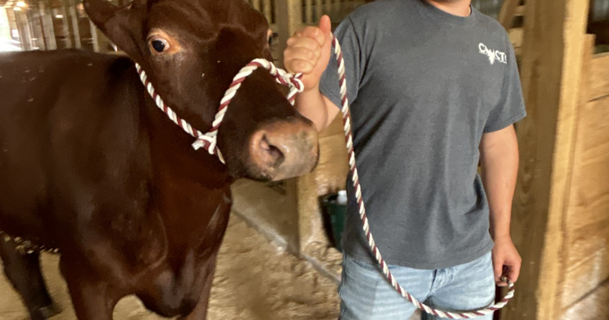 Welcome to the Bullskin Township Fair | Multimedia | dailycourier.com