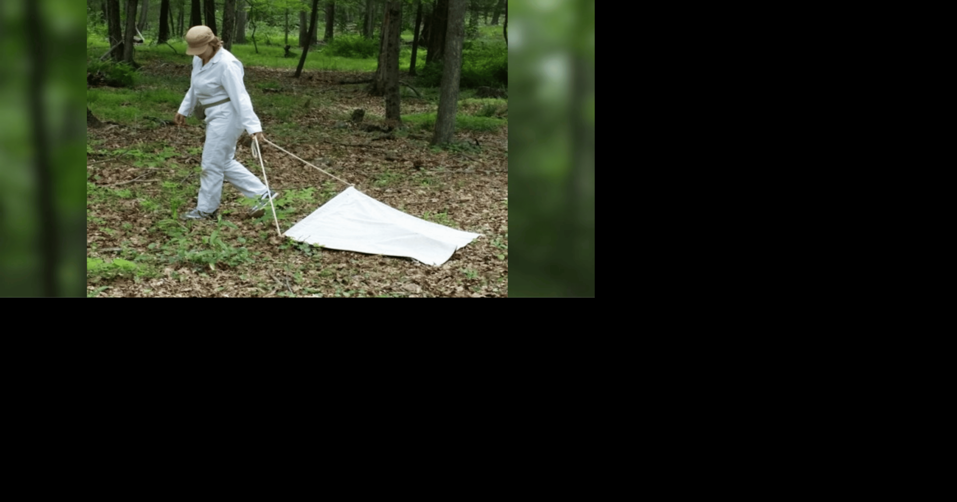 Heading into the woods this fall? Pennsylvania's tick risks are changing