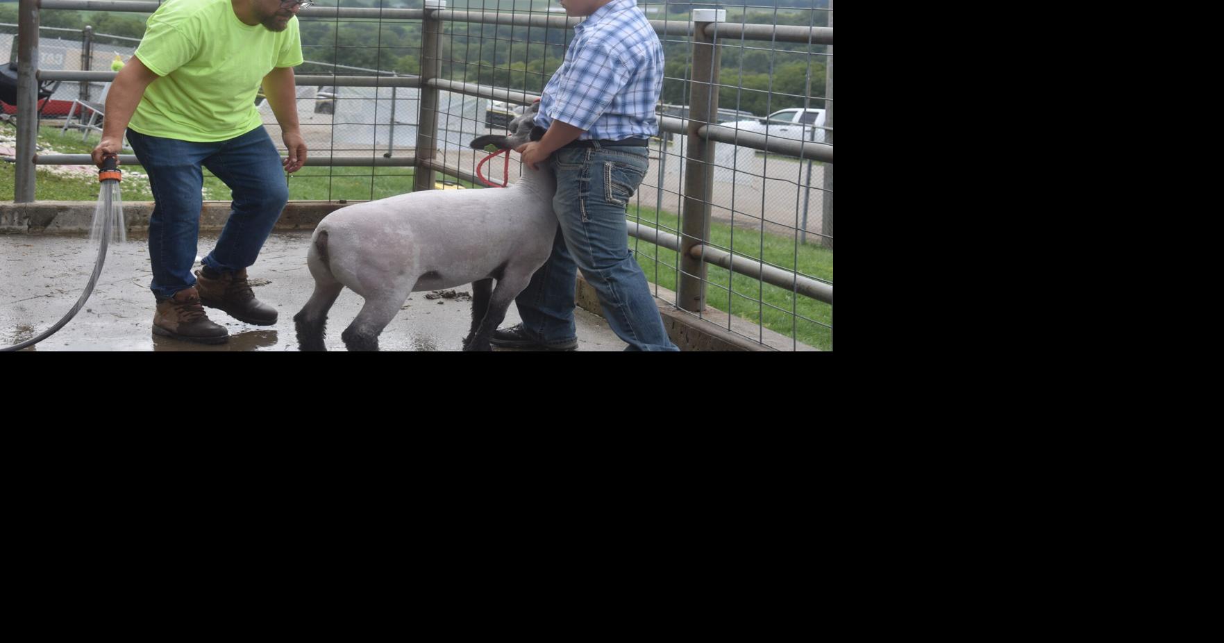 Fun at the Westmoreland Fair