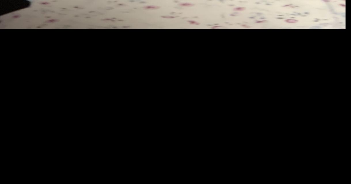 Mary Ann Koontz Obituaries