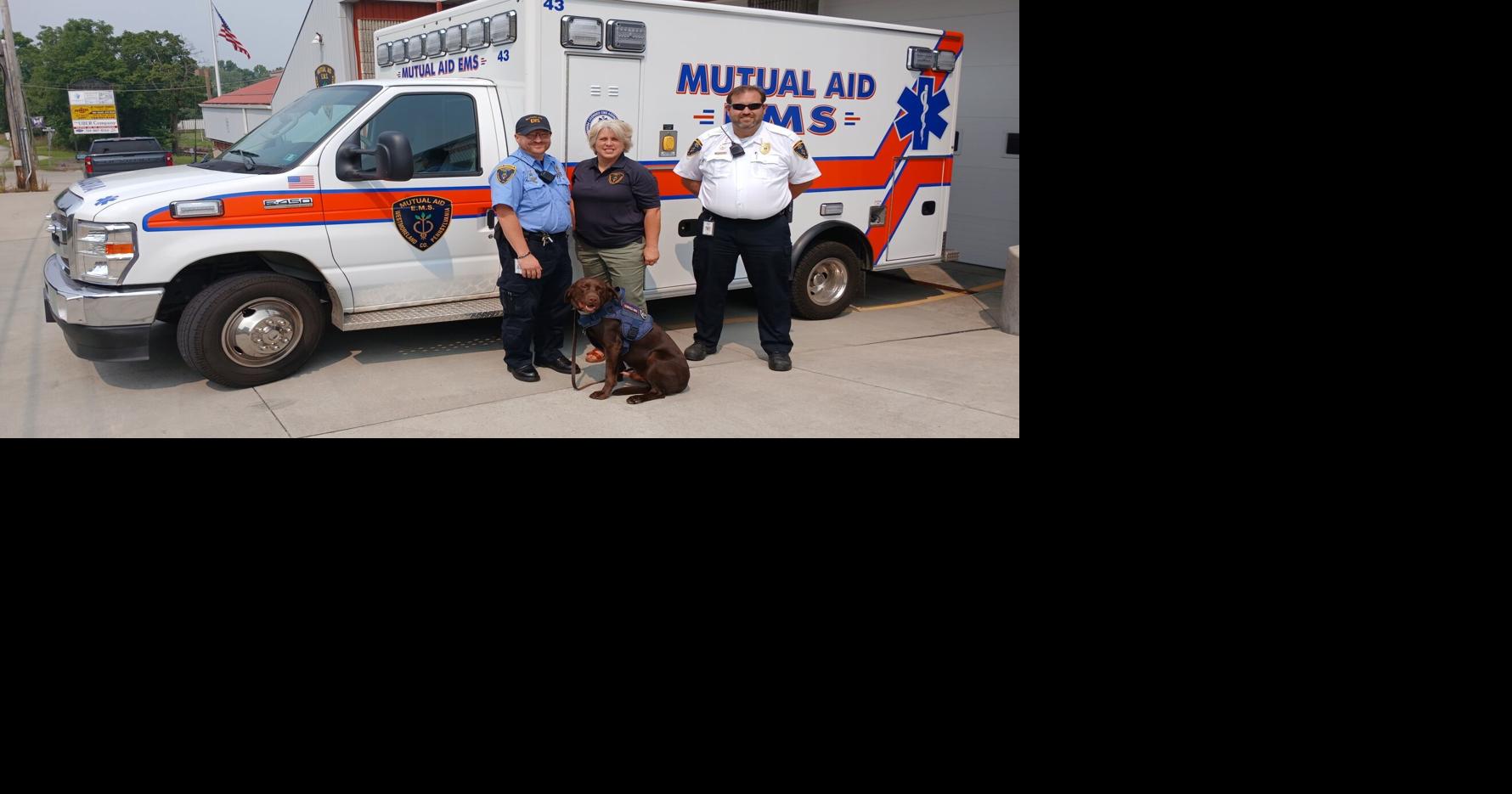 Mutual Aid welcomes therapy dog