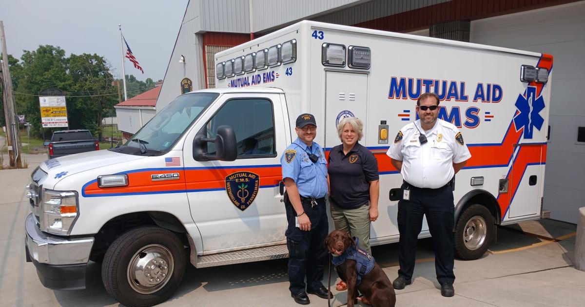 Mutual Aid welcomes therapy dog