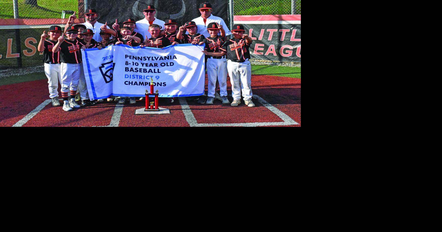 Bullskin 8-10s win District 9 crown