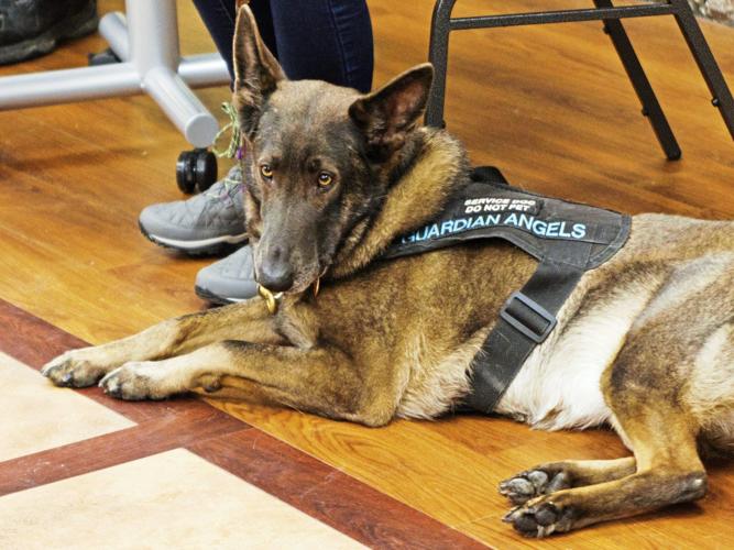 can a teacher have a service dog