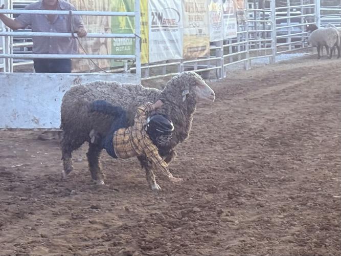 Kids’ Rodeo Night at the Bullskin Fair | Multimedia | dailycourier.com