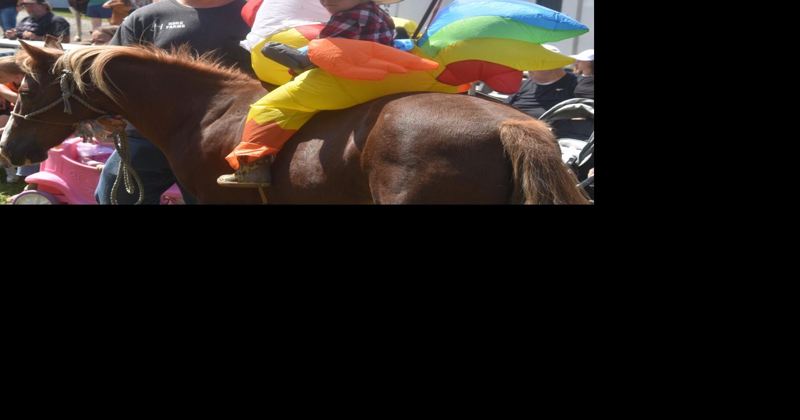 chicken and horse