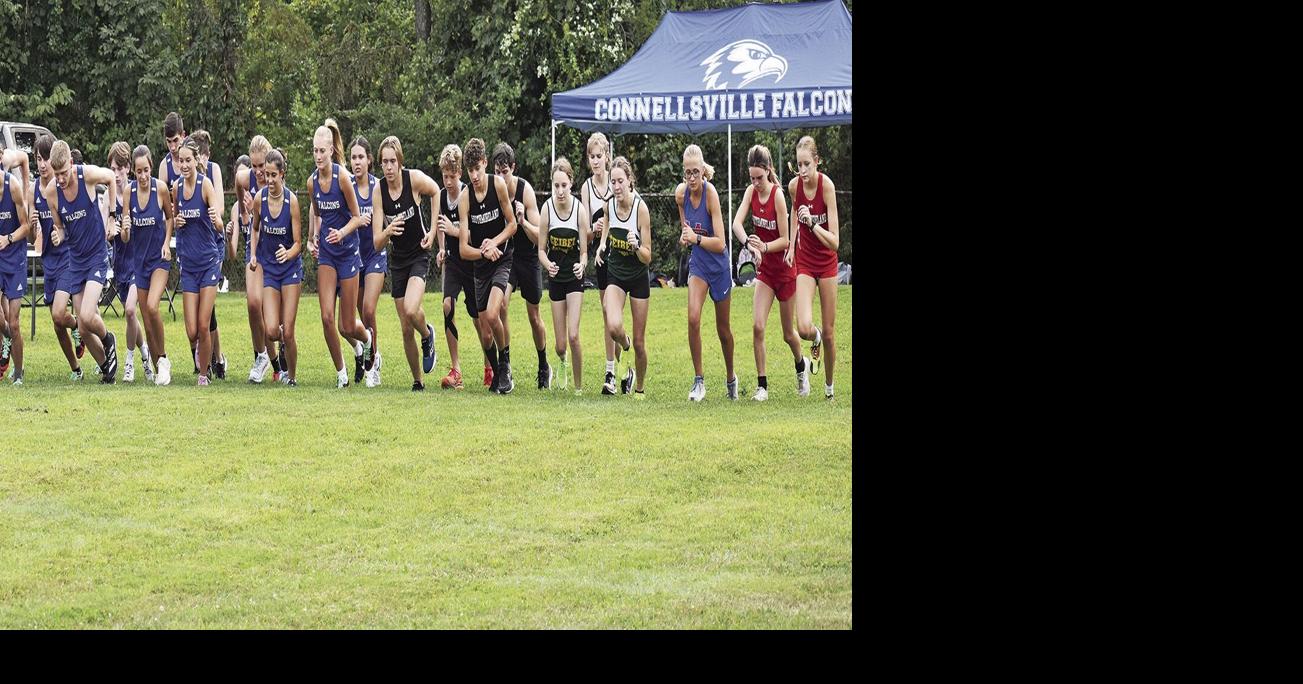 Falcons score XC wins over Scotties Sports