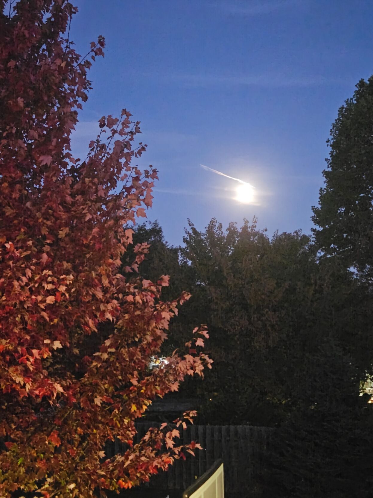 Rodney Moon Hunter's moon | News | dailycourier.com