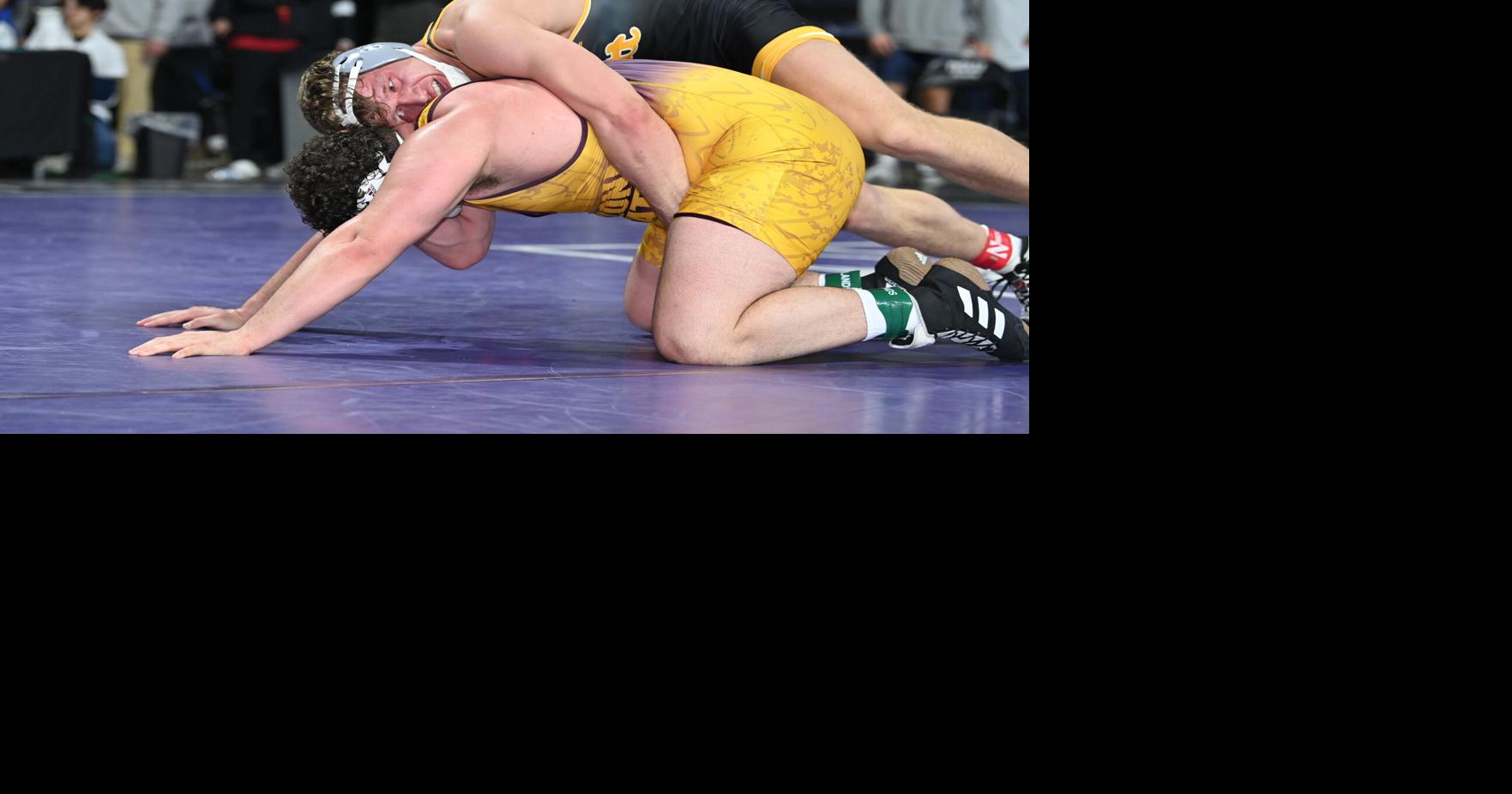 MP grad Pitzer showing he belongs at Pitt | Sports | dailycourier.com