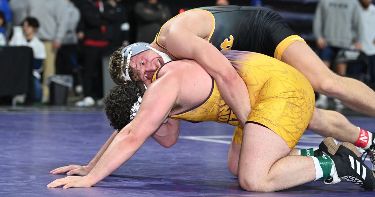 Craig Pizer MP grad Pitzer showing he belongs at Pitt | Sports | dailycourier.com