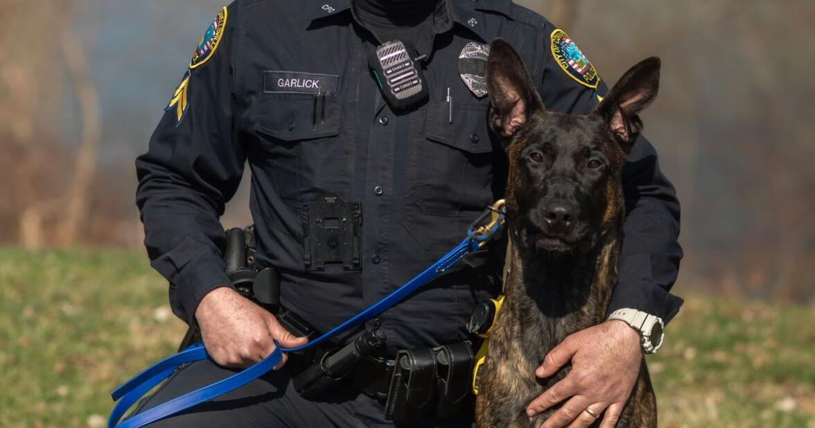 City K-9 earns certification