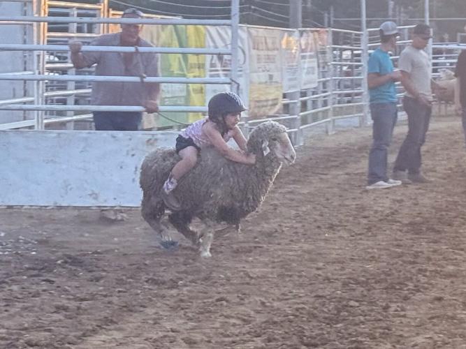 Kids’ Rodeo Night at the Bullskin Fair | Multimedia | dailycourier.com