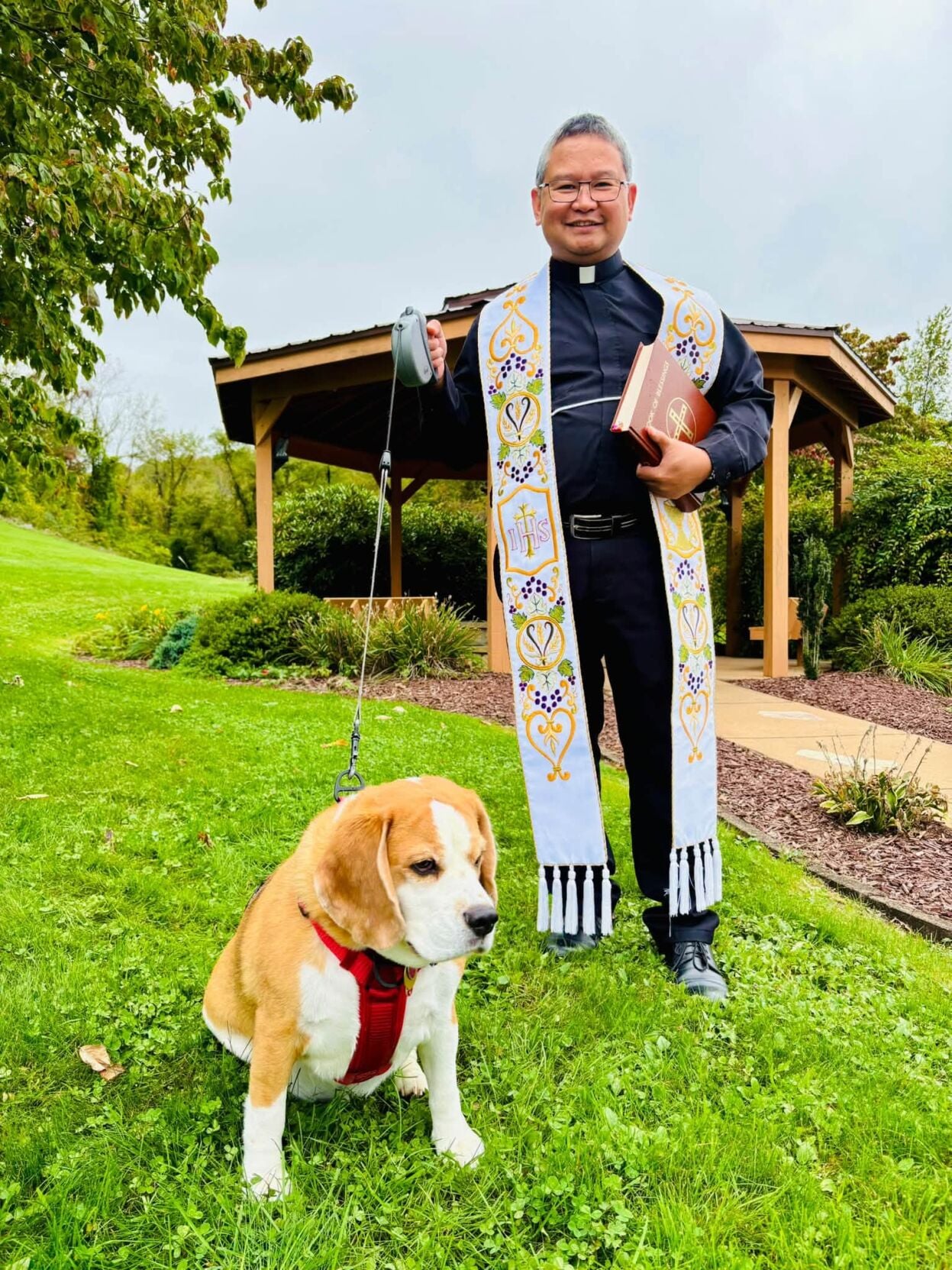 archie | News | dailycourier.com