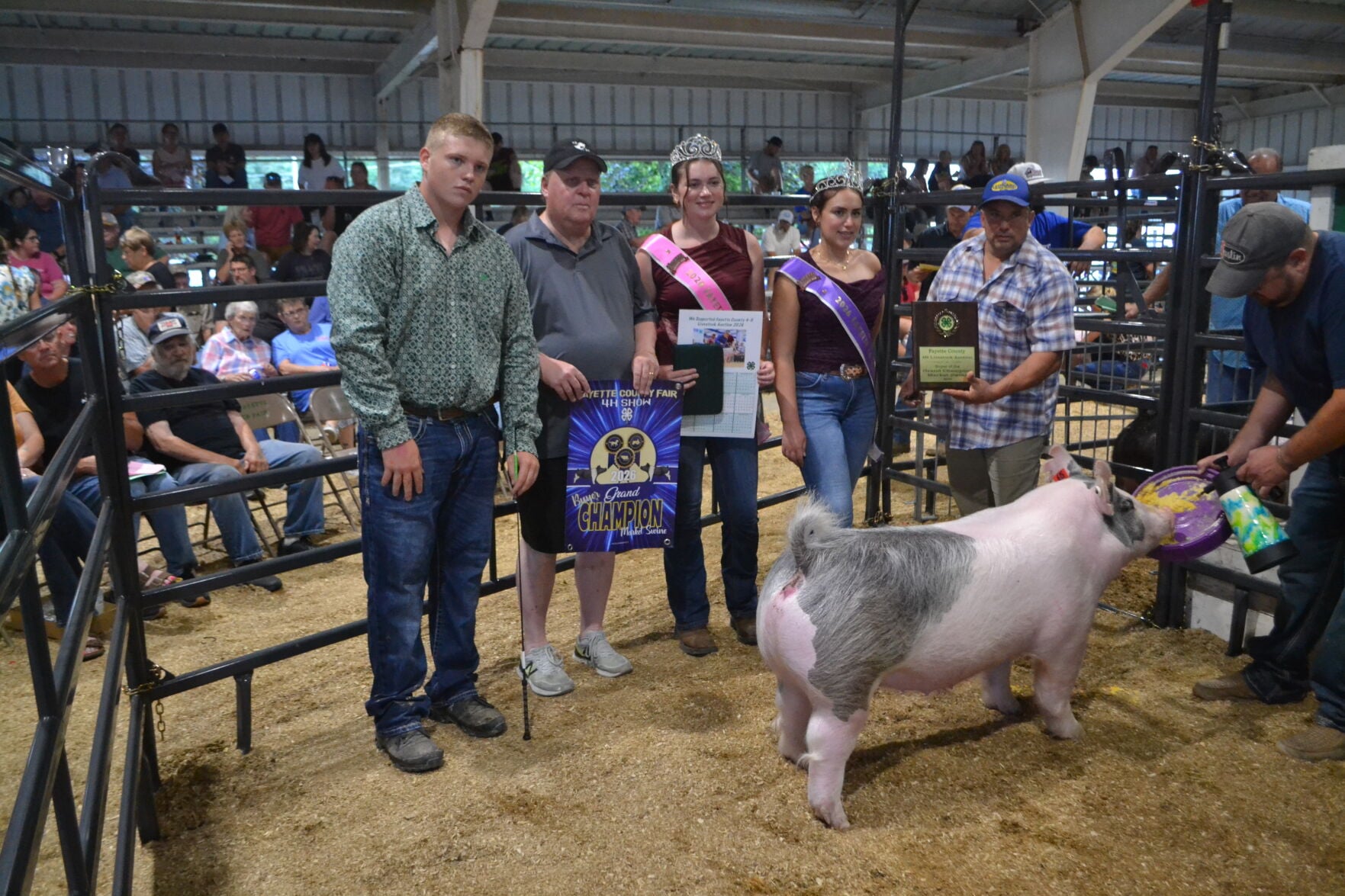 Swine champion | Multimedia | dailycourier.com