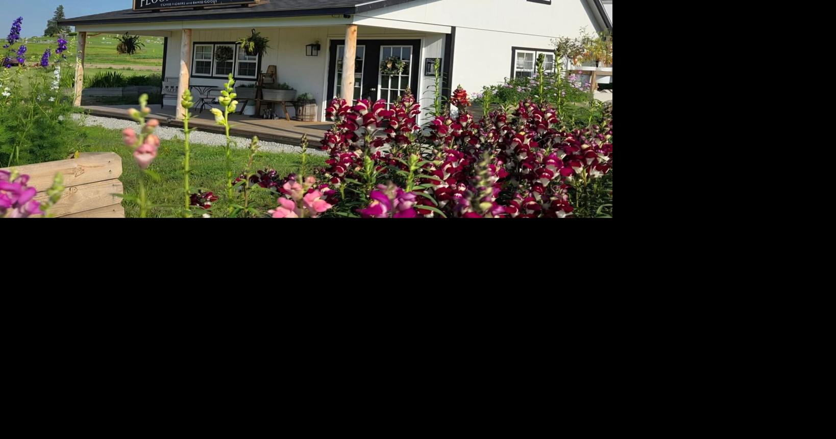 Flowers, coffee, baked goods offered at Dawson area farm