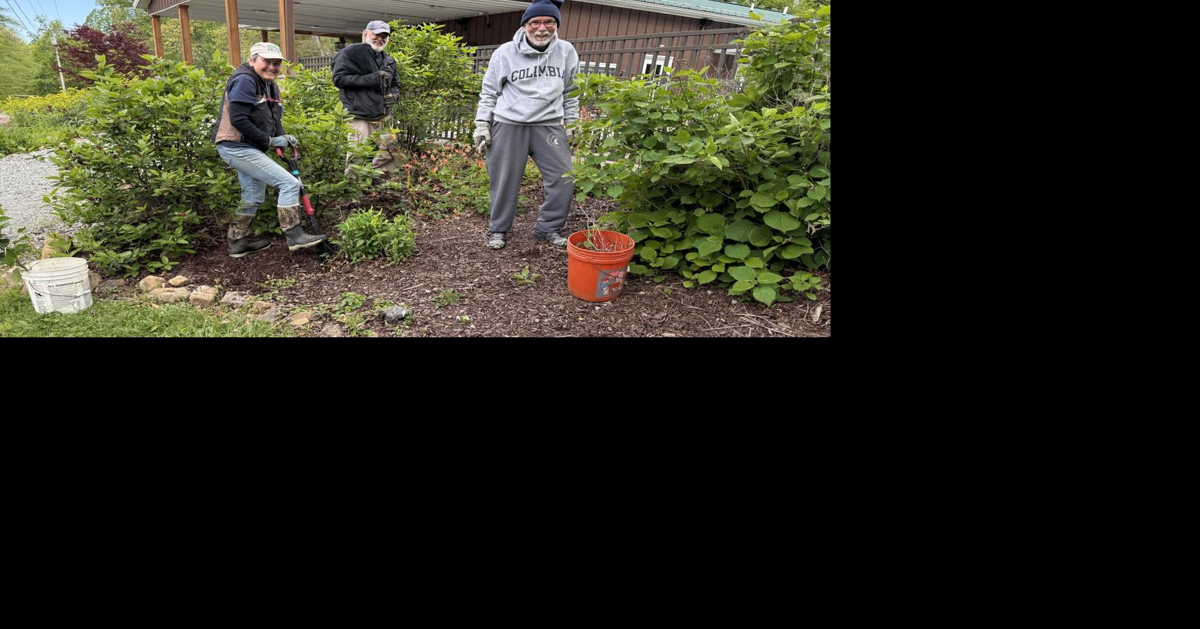 Pollinator gardens | News | dailycourier.com
