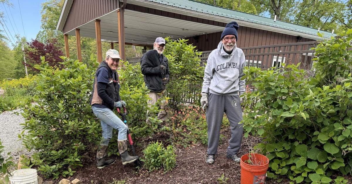 Pollinator gardens | News | dailycourier.com