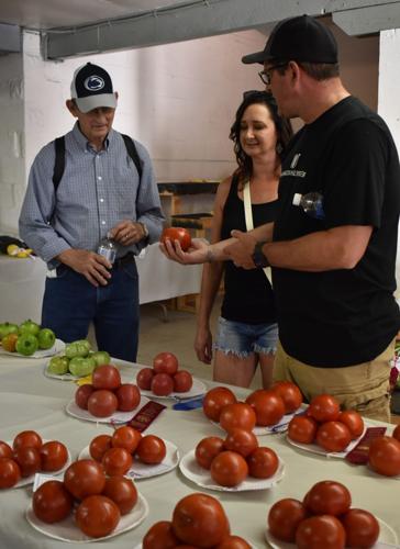 BULLSKIN FAIR FROLIC | Multimedia | dailycourier.com