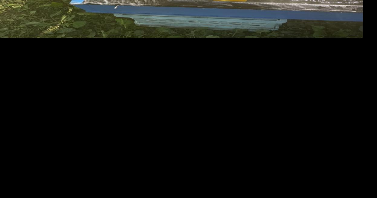 River Rally draws crowd Multimedia