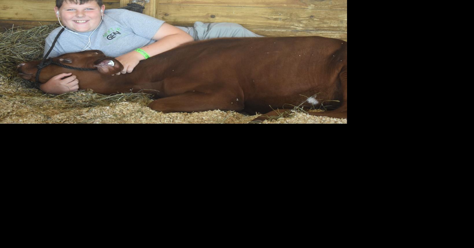 FAYETTE FAIR FUN