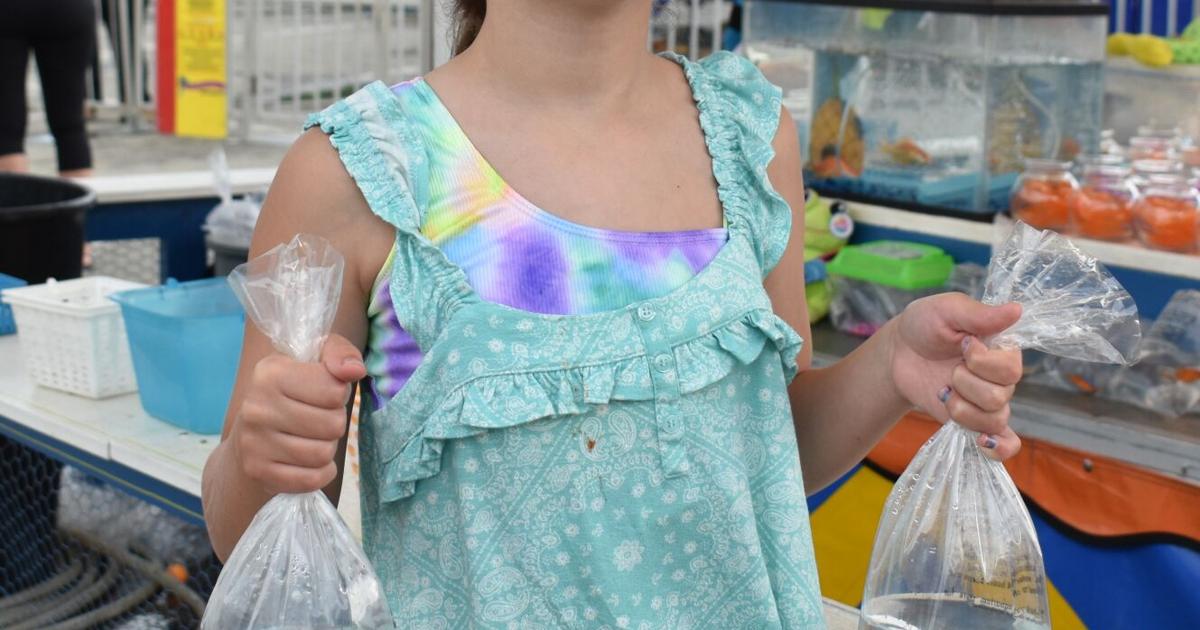 Fun Continues Fair Fun Continues | Multimedia | dailycourier.com