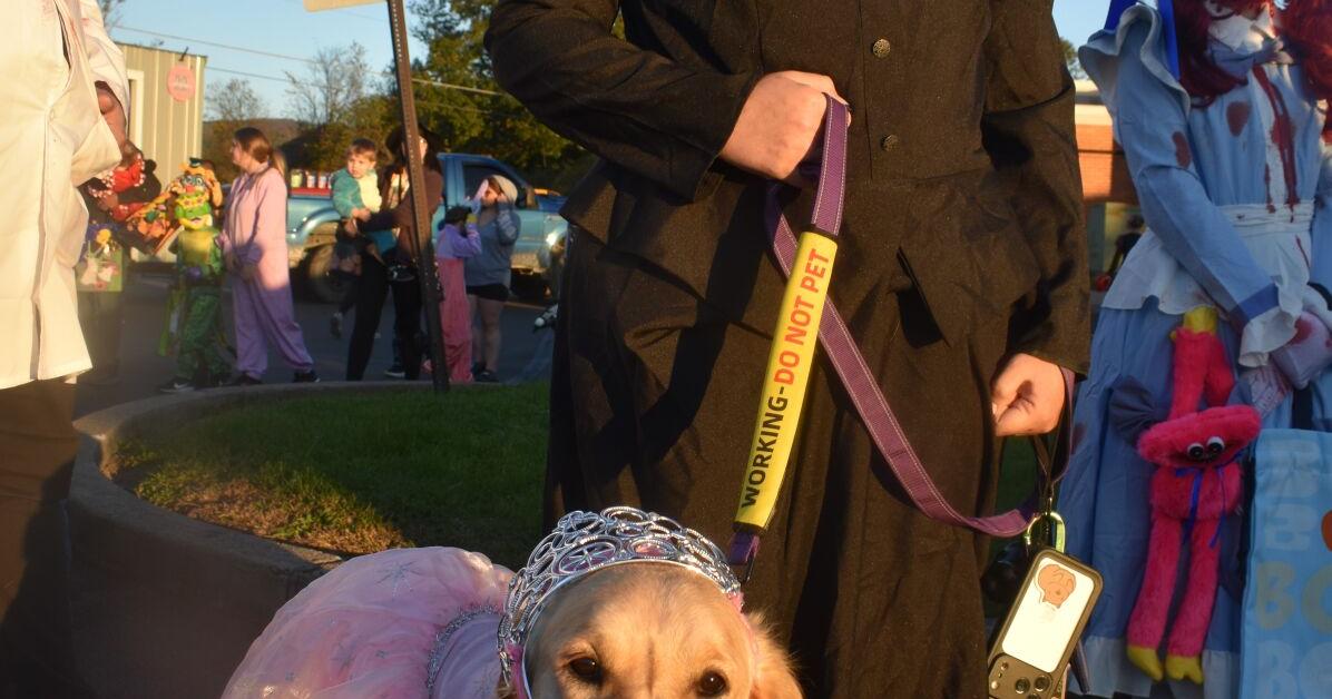 Trunk-or-treat in Bullskin