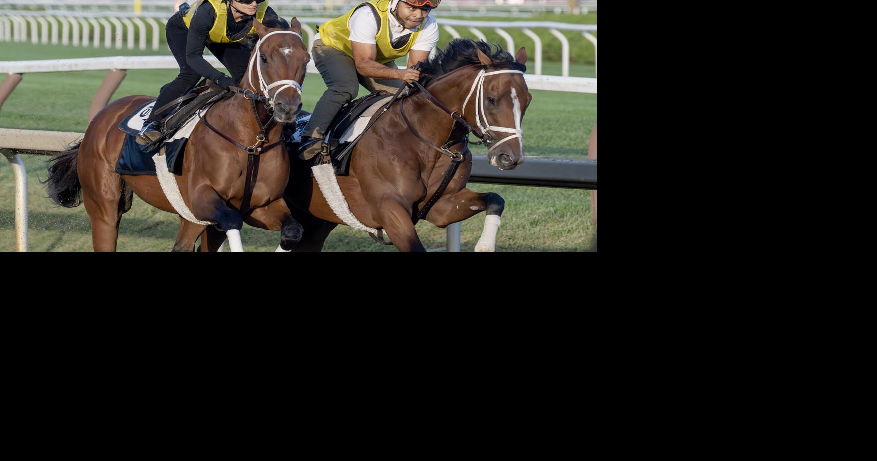 Renegade sharp for Travers, but needs a rider